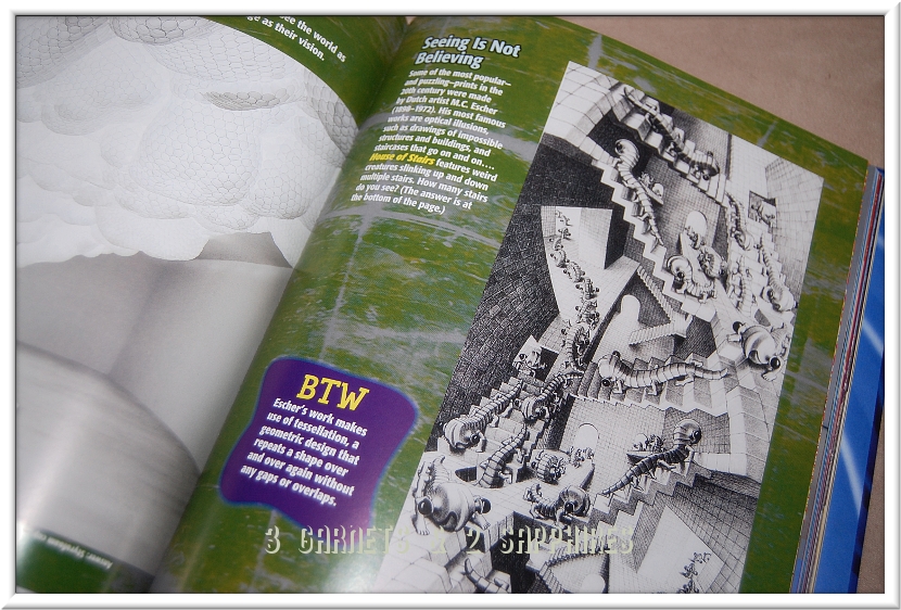 weird but true book 2